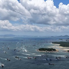 节令之美｜处暑：千帆竞发迎开渔