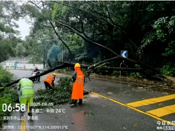 强降雨来袭！坪山闻“汛”而动