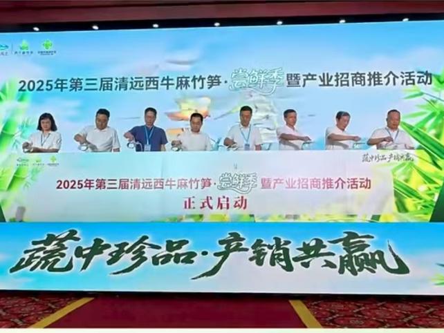 邀全球客商品“鲜”！清远西牛麻竹笋尝鲜季暨产业招商启幕