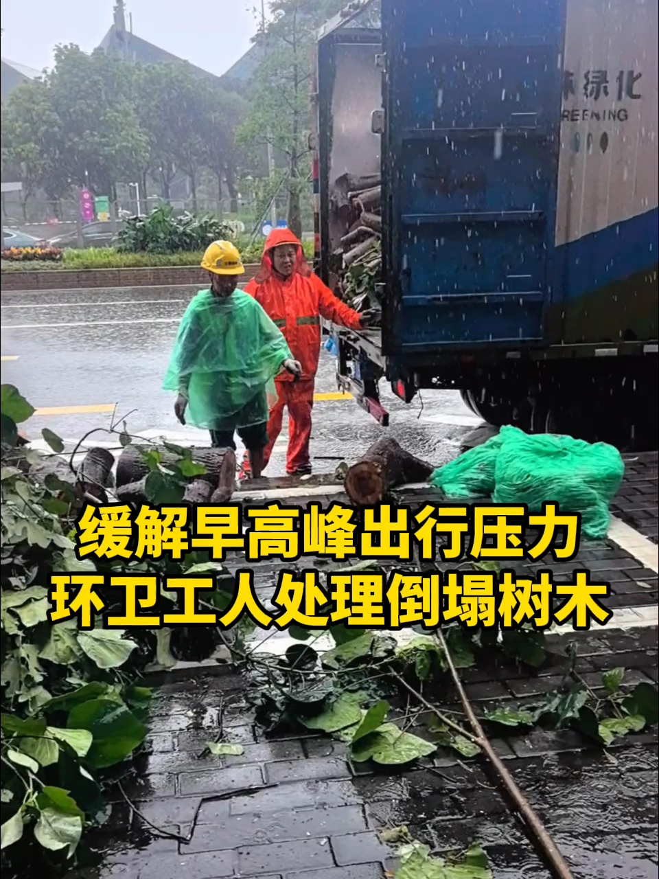 晶视频丨缓解早高峰出行压力，环卫工人处理倒塌树木