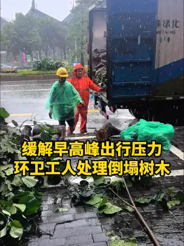 晶视频丨缓解早高峰出行压力，环卫工人处理倒塌树木