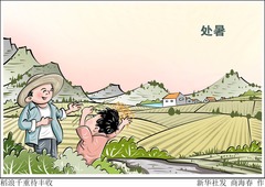 （图表·漫画）稻浪千重待丰收