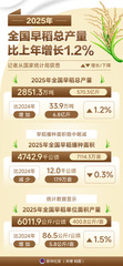 （图表）2025年全国早稻总产量比上年增长1.2%