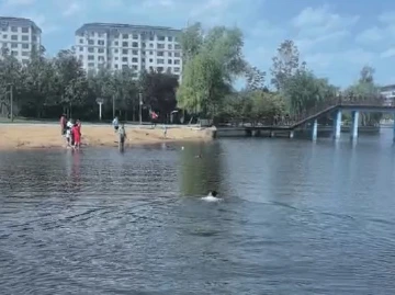 冲刺百米，3分钟救起8岁落水男童！来深创业小伙梁正强获正能量奖励