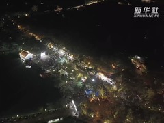 浙江宁波：“仲夏慈湖夜”活动点亮夜经济