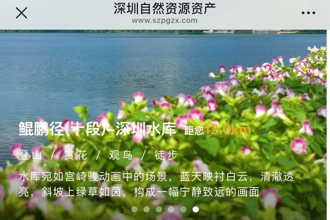 深圳探索生态地图新模式，首款自然资源资产应用入选广东省典型案例