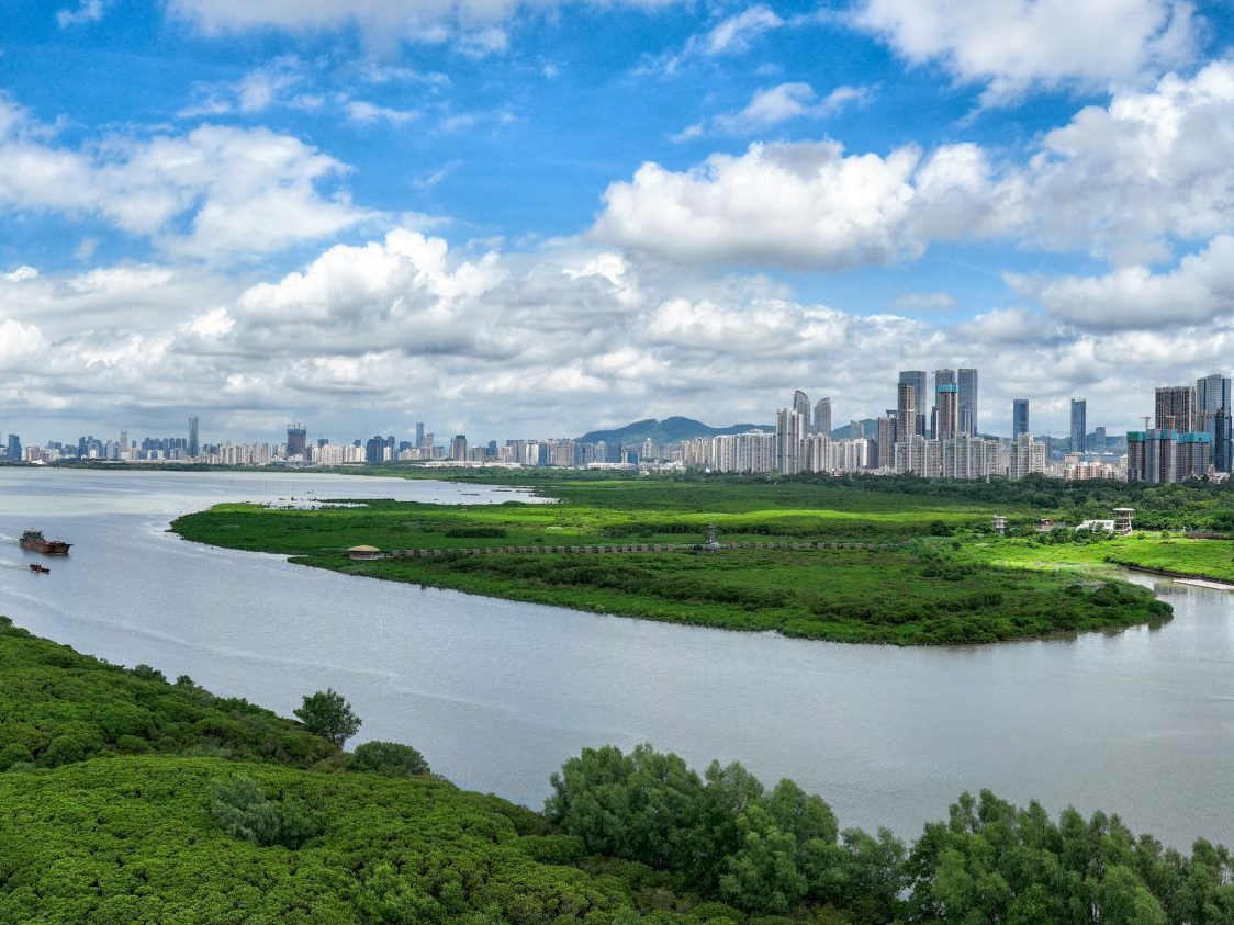 深圳市成立生态环境标准化技术委员会 发布全国首份地市级生态环境标准建设白皮书