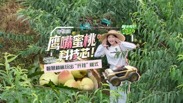 鹰嘴蜜桃“科技芯” 智慧种桃玩出“开挂”模式