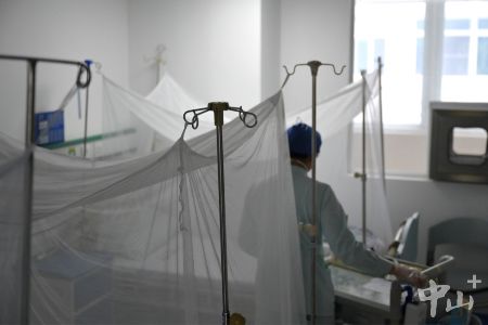 中山专家提醒：基孔肯雅热部分患者无发热症状，注意这些早期信号→