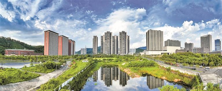 光明云谷片区打造生命科学领域科研经济示范区