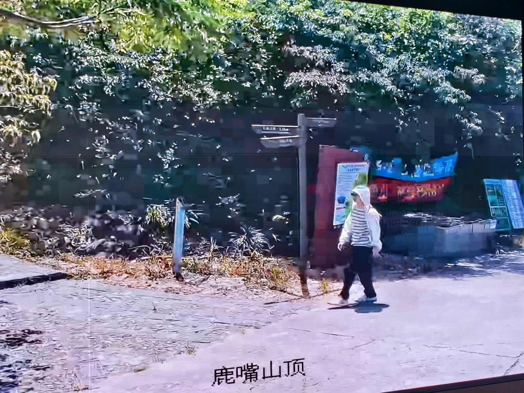 搜救持续！27岁小伙在深圳登山失联，多方救援力量冒雨上山搜救