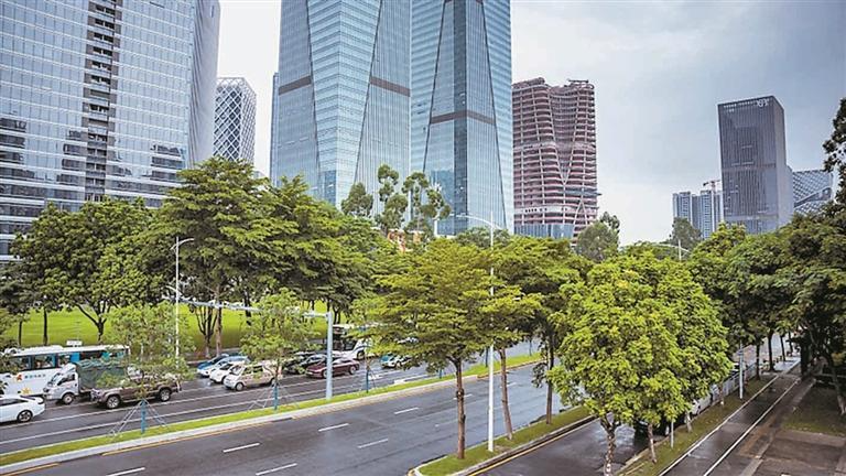 城市共治 宝安焕新 | 共治共享绿色空间 提升环境美化家园