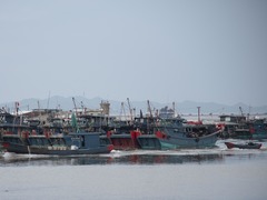 广东潮州：防御台风“杨柳”一线直击
