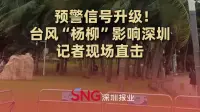 
预警信号升级！台风“杨柳”影响深圳，记者现场直击！