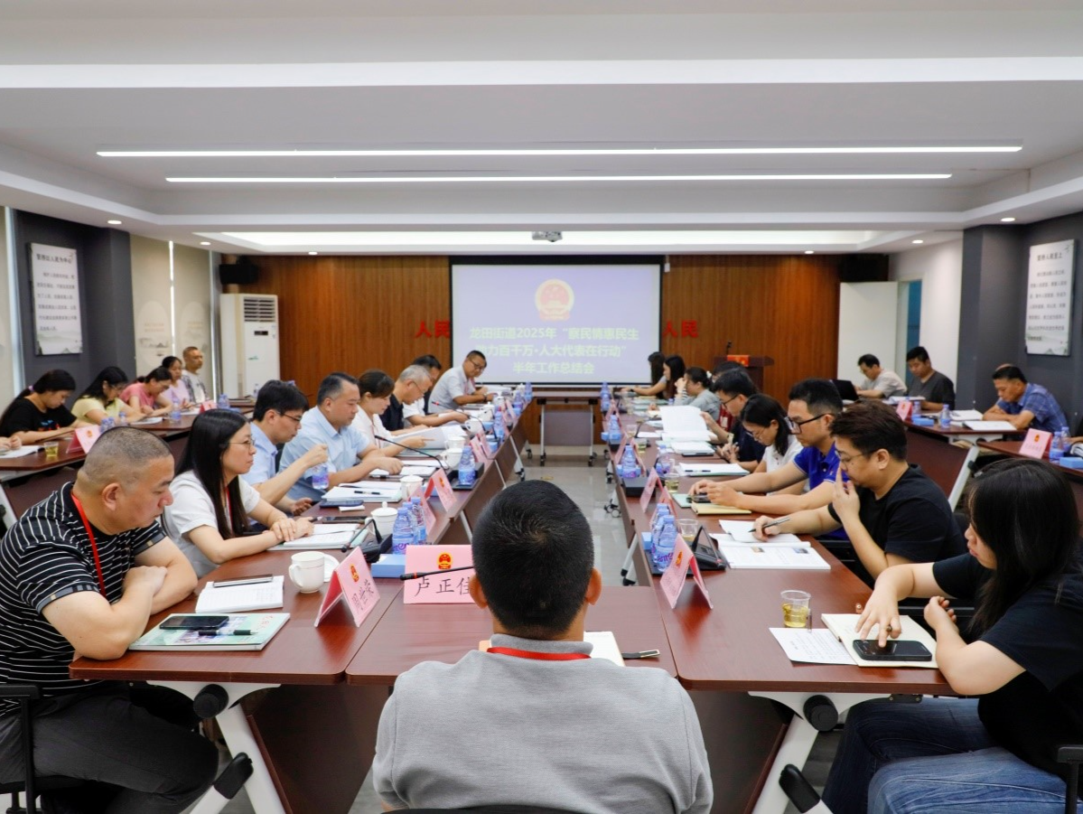 人大龙田街道工委召开“察民情惠民生助力百千万”总结会