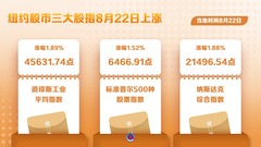 （图表）纽约股市三大股指8月22日上涨