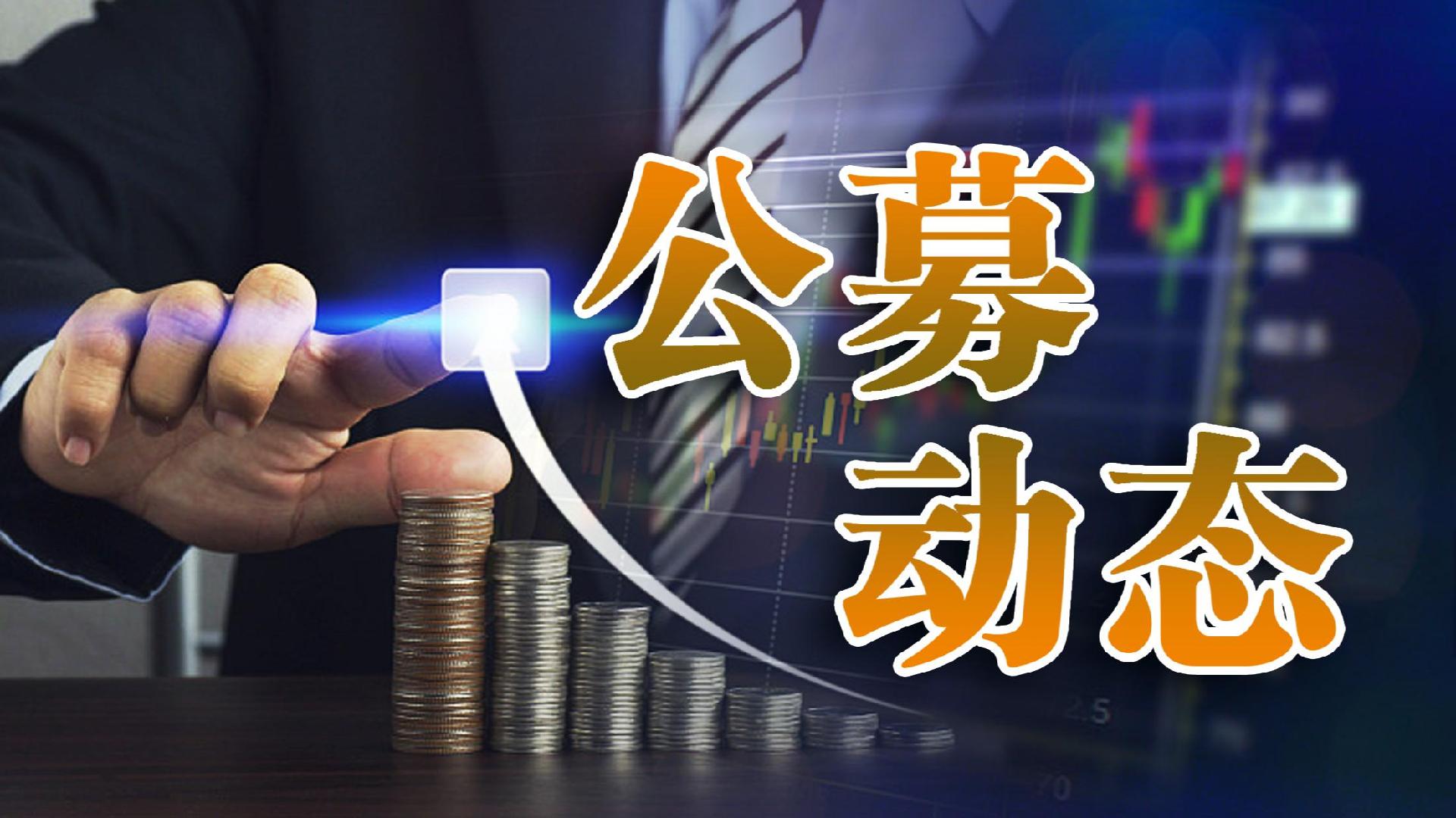 千亿公募变更董事长 年内业内超240名高管出现变动