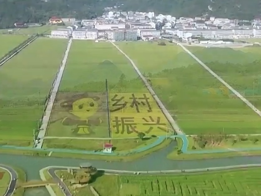 看见美丽中国丨20年“灰山”变“青山”，老乡村“长”出新业态
