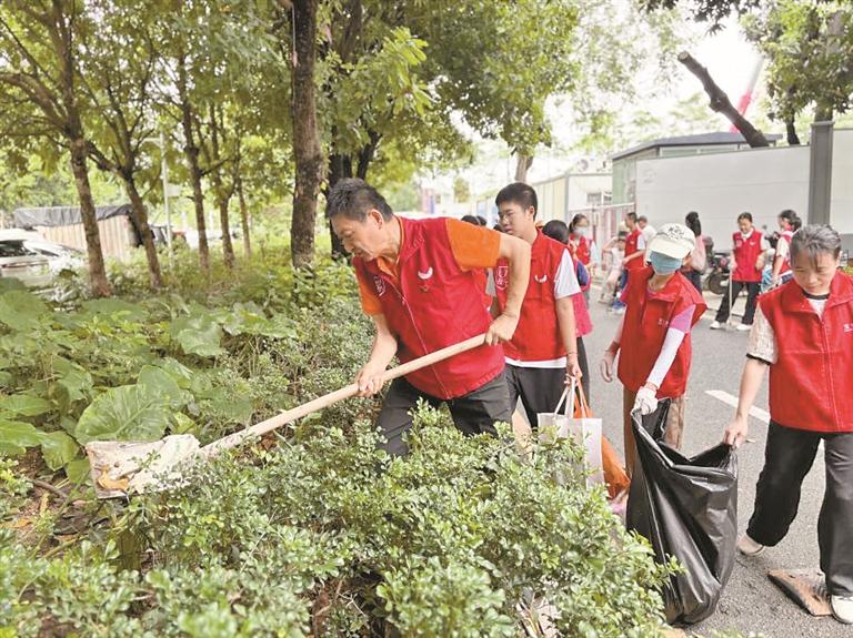 大浪社区：从源头阻断蚊虫孳生