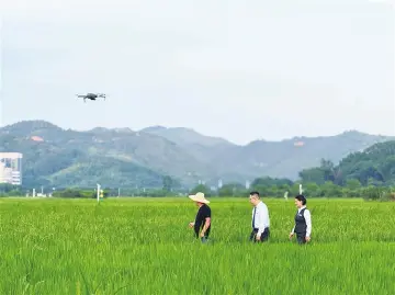 多方携手赋能新业态  农行深圳分行：“金融之翼”助飞低空经济