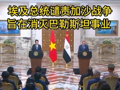 埃及总统谴责加沙战争旨在消灭巴勒斯坦事业