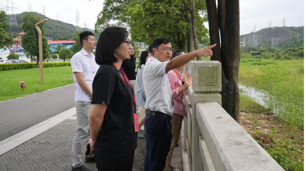 精细化治理与红色传承促城市焕新!文明观察团走进松岗、燕罗