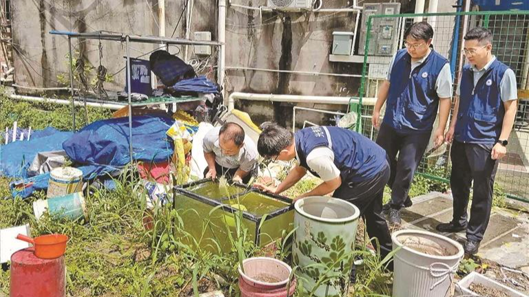 光明:防蚁灭蚁不松懈 织密健康防护网