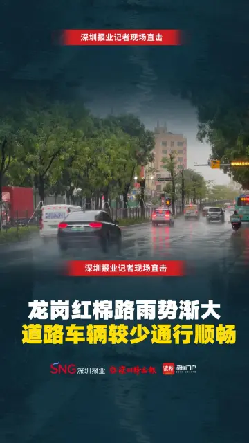 龙岗红棉路雨势渐大 道路车辆较少通行顺畅
