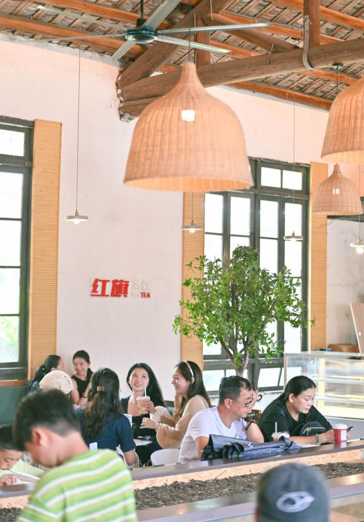 特色化发展农文旅产业，英德解锁富民兴村“流量密码”