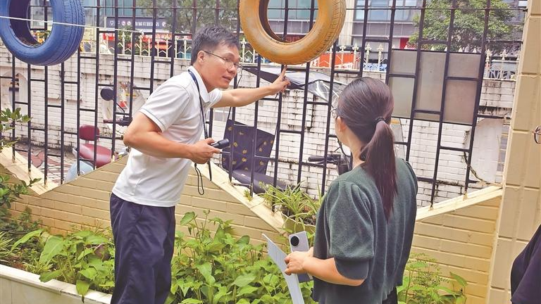 龙华全域清蚊患 筑牢健康防护墙
