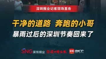 干净的道路 ，奔跑的小哥，暴雨过后的深圳节奏回来了