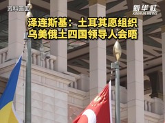 泽连斯基：土耳其愿组织乌美俄土四国领导人会晤