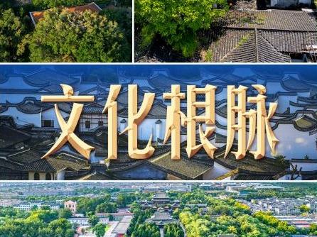 习言道丨古街拆还是留？习近平用一首诗回答