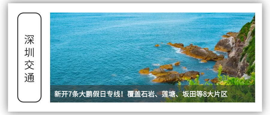 往期回顾.png