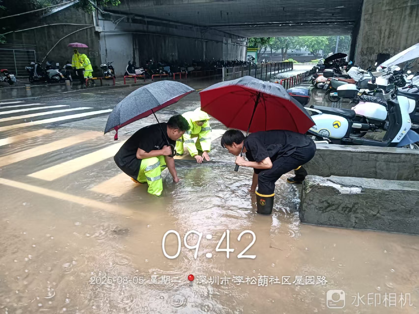 半夜巡查、清理堵塞、扶正树木……公明李松蓢的防汛瞬间