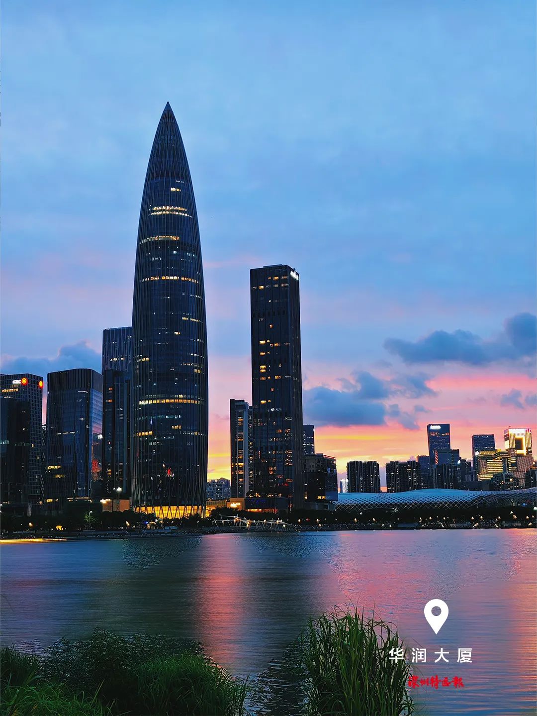 美丽深圳·每日一图｜2025年8月23日