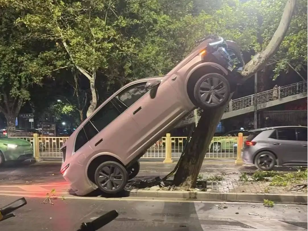 凌晨一声巨响！一辆理想SUV开到了树上？西安交警通报→