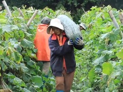 江西大余：特色产业助力乡村振兴