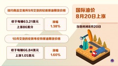（图表）国际油价8月20日上涨
