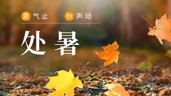 “声动”二十四节气｜处暑：暑气止 秋声动