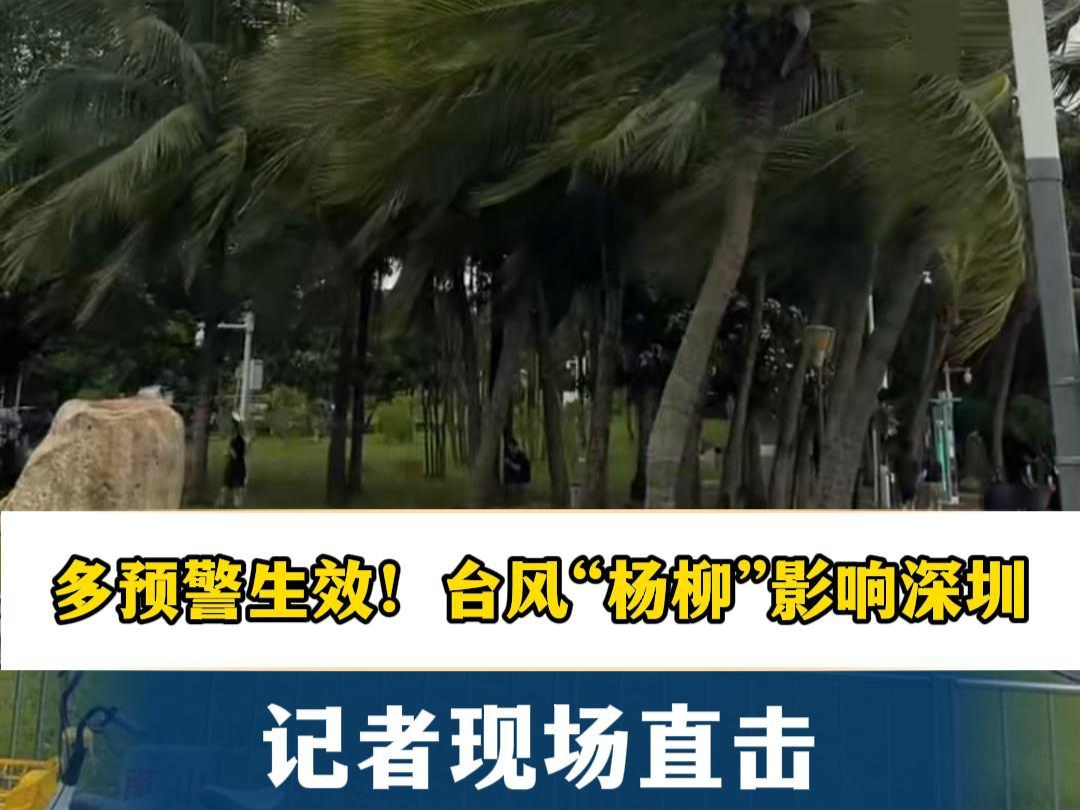 多预警生效！合风“杨柳”影响深圳