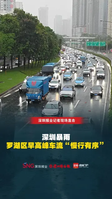 深圳暴雨，罗湖区早高峰车流“慢行有序” 