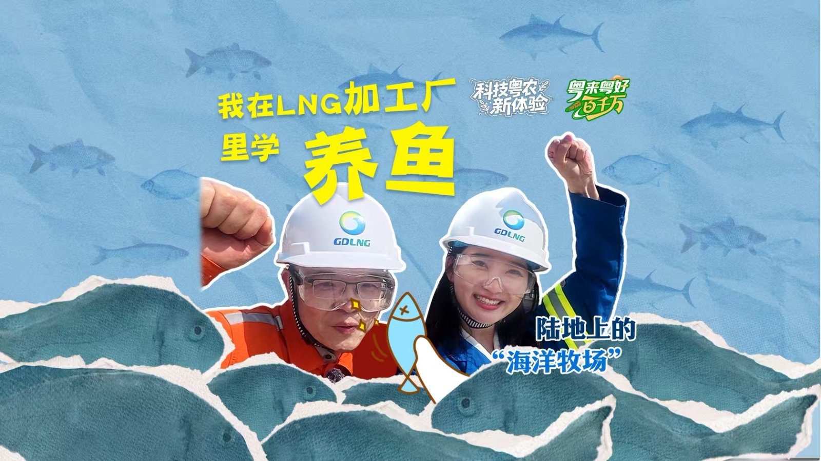 粤来粤好百千万 | 我在LNG加工厂里学养鱼