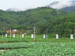 聚焦高质量发展丨海南三亚：天涯龙虾助力“稳产增收”