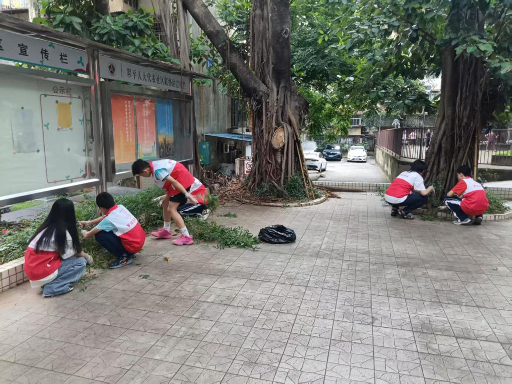 聚焦健康防线，翠平社区开展基孔肯雅热防控专项行动