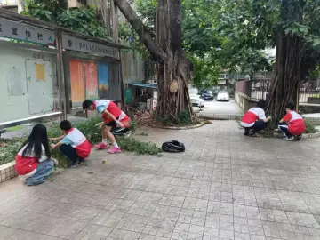 聚焦健康防线，翠平社区开展基孔肯雅热防控专项行动