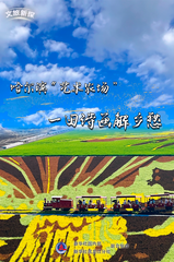 文旅新探|哈尔滨“艺术农场”：一田诗画解乡愁