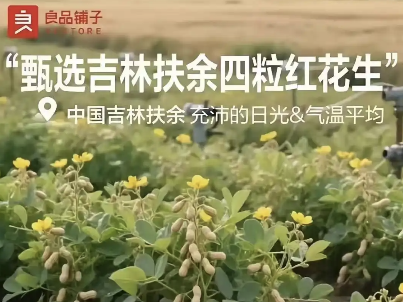 读特热评｜AI画出“空中花生”，技术便利岂能僭越常识？