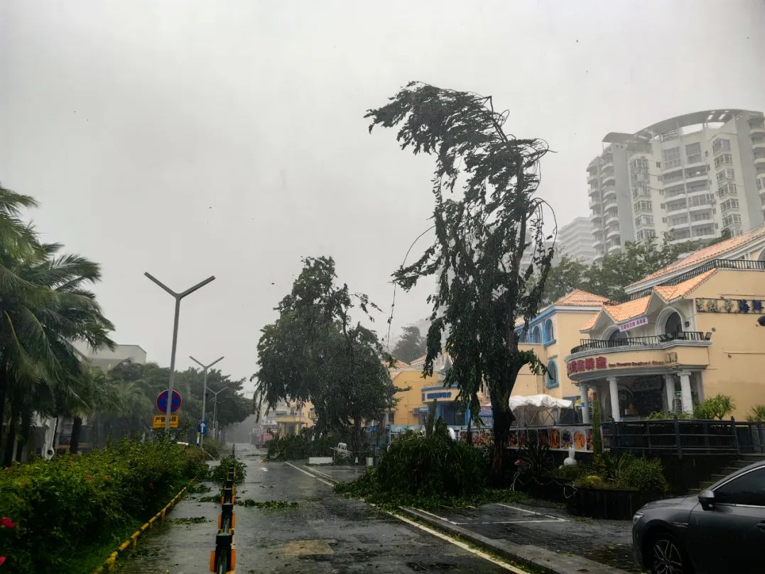 海南多地被“吹停”！台风“剑鱼”有多凶悍？