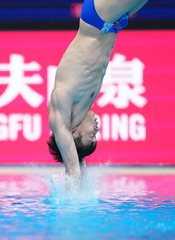 （游泳世锦赛）（12）跳水——男子3米板决赛赛况